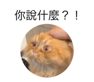 690519691