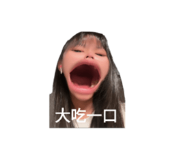 690550291