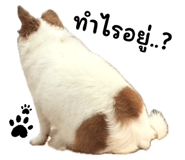 690551655