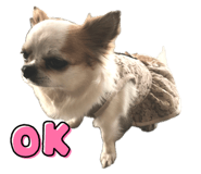 690551657