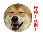 690561597