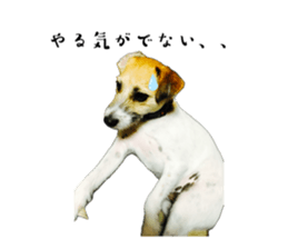 690636540
