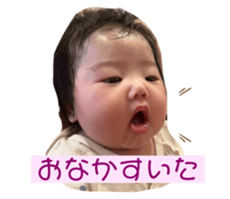 690666243