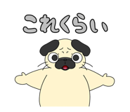 690667752