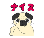 690667758