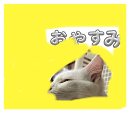 690669665
