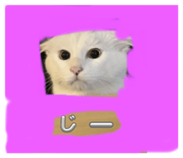 690669667