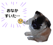 690716330