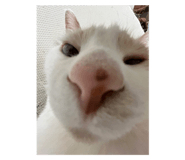 690717433
