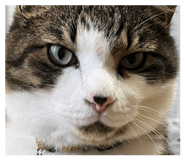 690717443