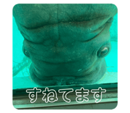 690737342