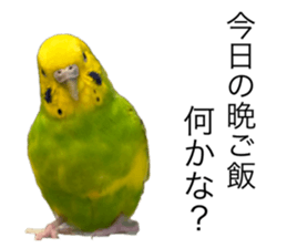 690755477
