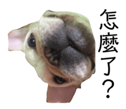 690756927