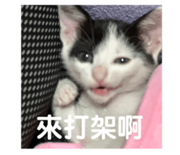 690777013