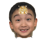 690881325