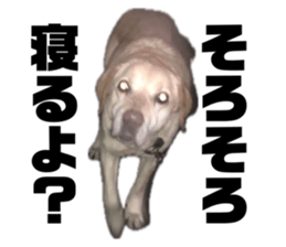 690881346
