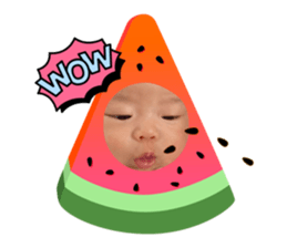 690888781