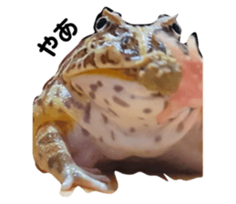 690903089