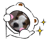 690923633