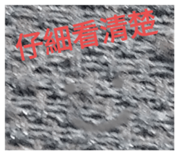690958223