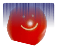 691000678