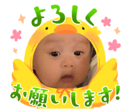 691012558