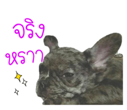 69101587
