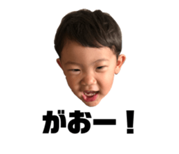 691030621
