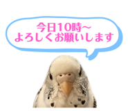 691030691