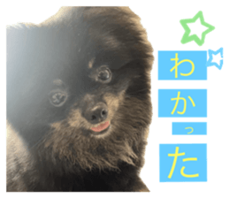 691045198