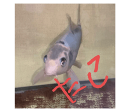 691075199