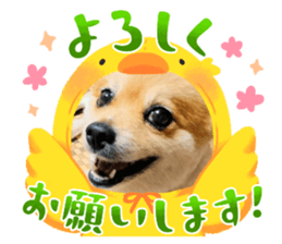 691078564