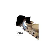 691082076