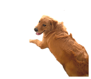 691131699
