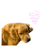 691131700