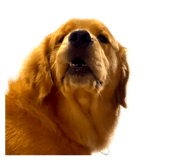 691131712