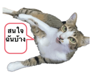 691132708