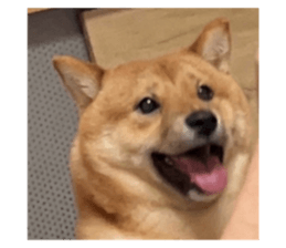 691134170