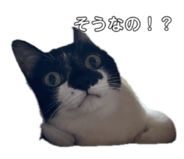 691159984