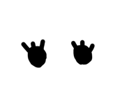 691215567