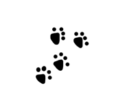 691215581