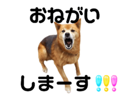 691223498