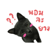 691243873