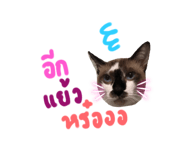 691243876