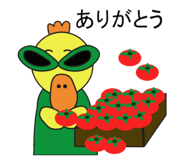 691268407