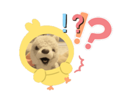691287663