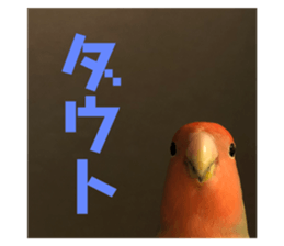 691303158