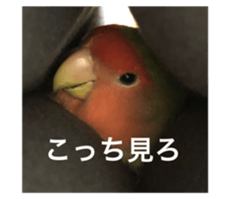 691303160