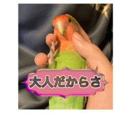 691303164