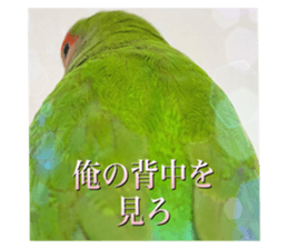 691303168